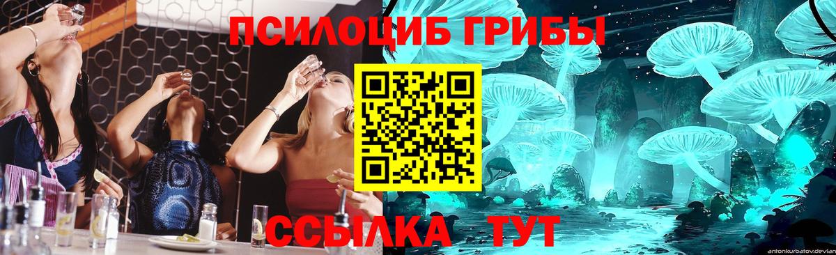 Галлюциногенные грибы MAGIC MUSHROOMS  Вход с VPN  Нижний Тагил 